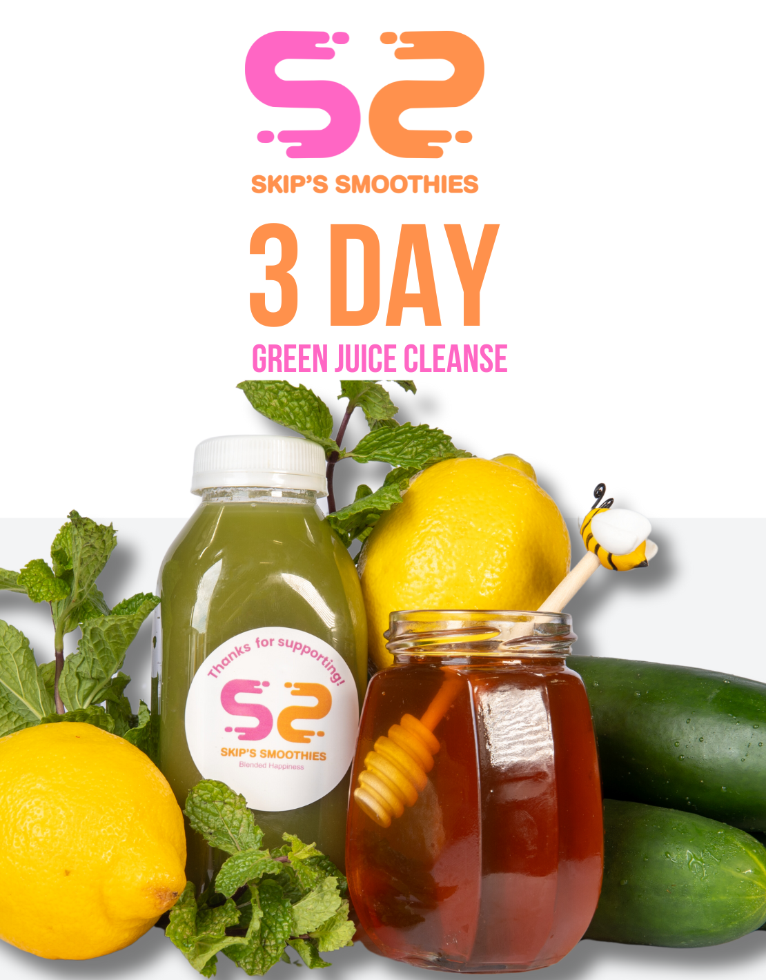 Day Juicing Cleanse Recipes Discounts Shops